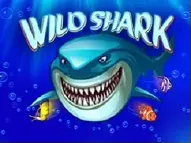 Играть в Wild Shark на официальном сайте пин-ап казино